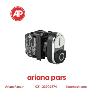 پوش باتن دوبل