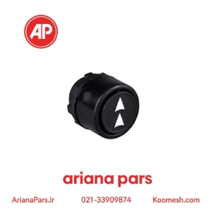 دکمه دو سرعته