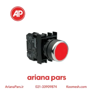 پوش باتن استارت