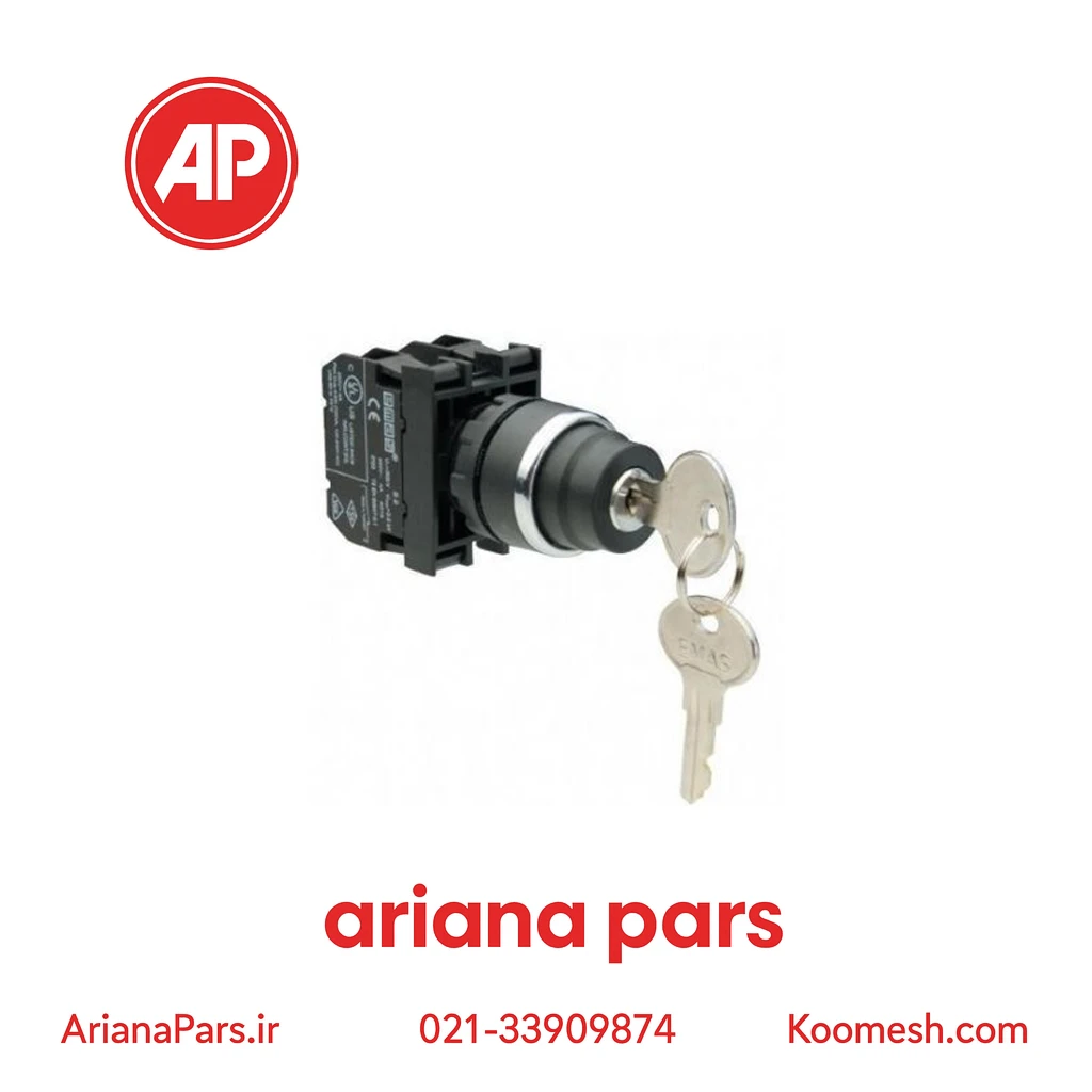 B101AA30 پوش باتن سوئیچ دار