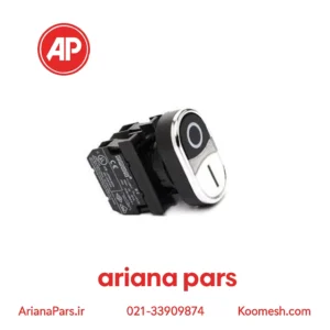 پوش باتن دوبل