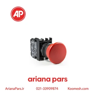 شاسی قارچی باکالیت