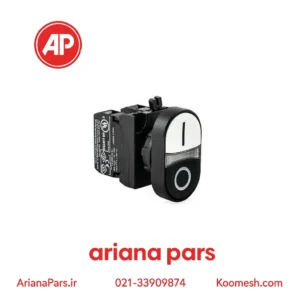 پوش باتن دوبل