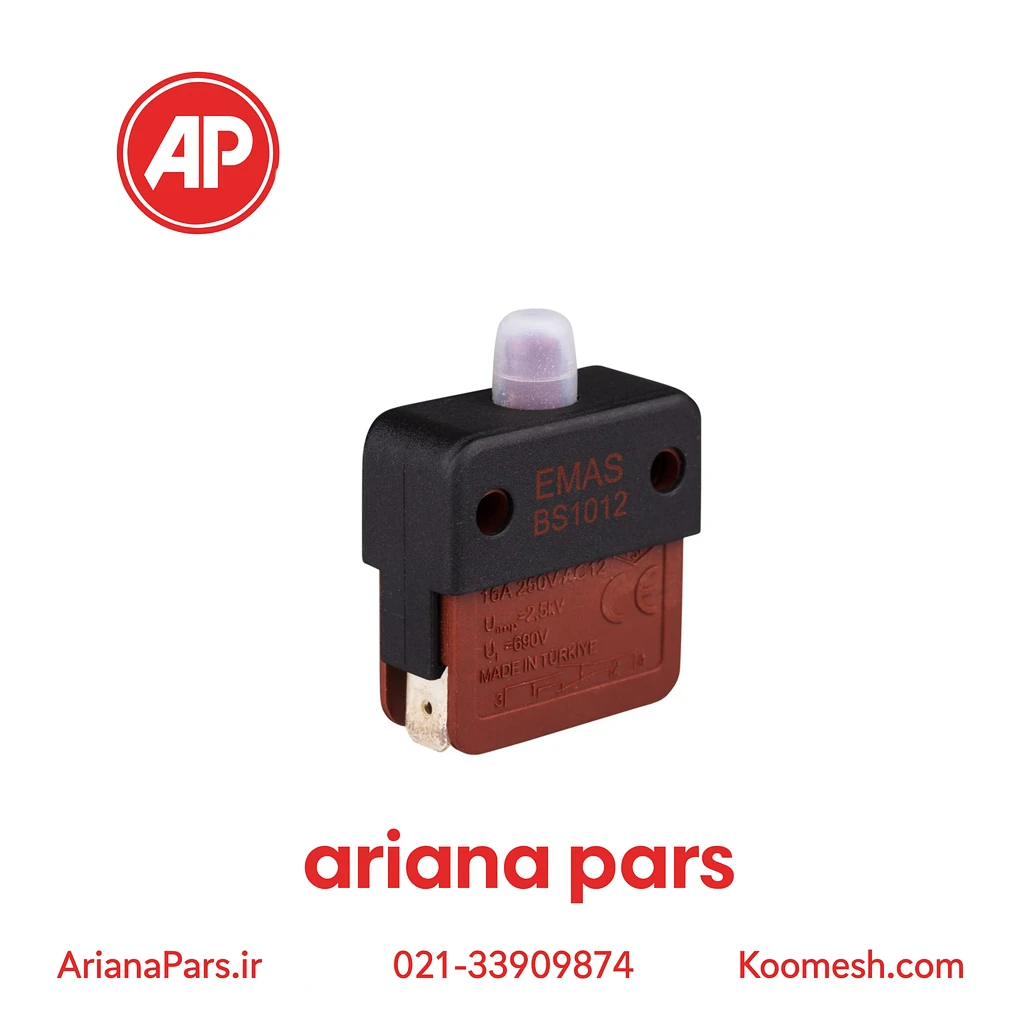 BS1012E میکروسوئیچ