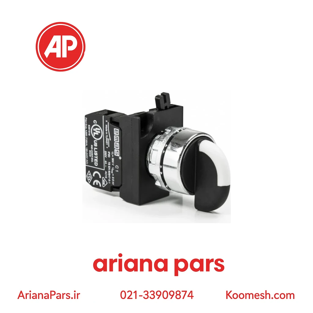 CM100S20 کلید گردان