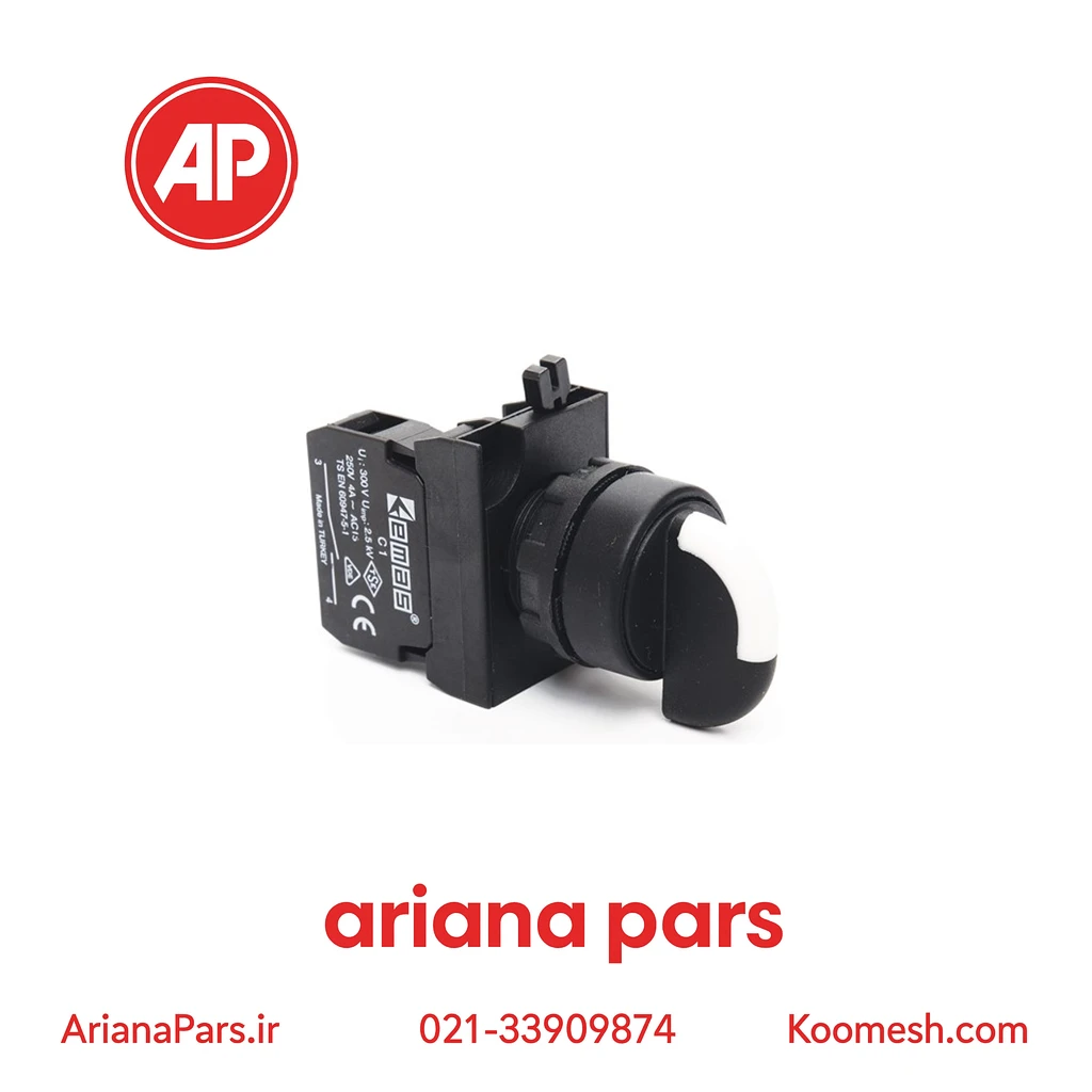 CP100S20 (1) کلید گردان