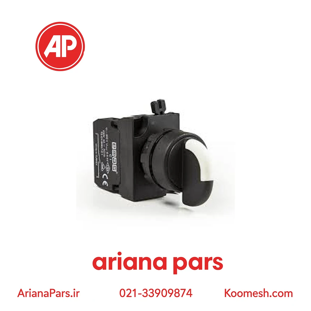 CP100S21 (1) کلید گردان (سلکتور) اماس