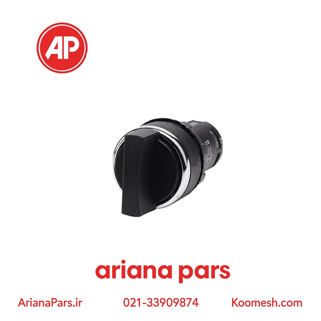 MB100S21 کلید گردان