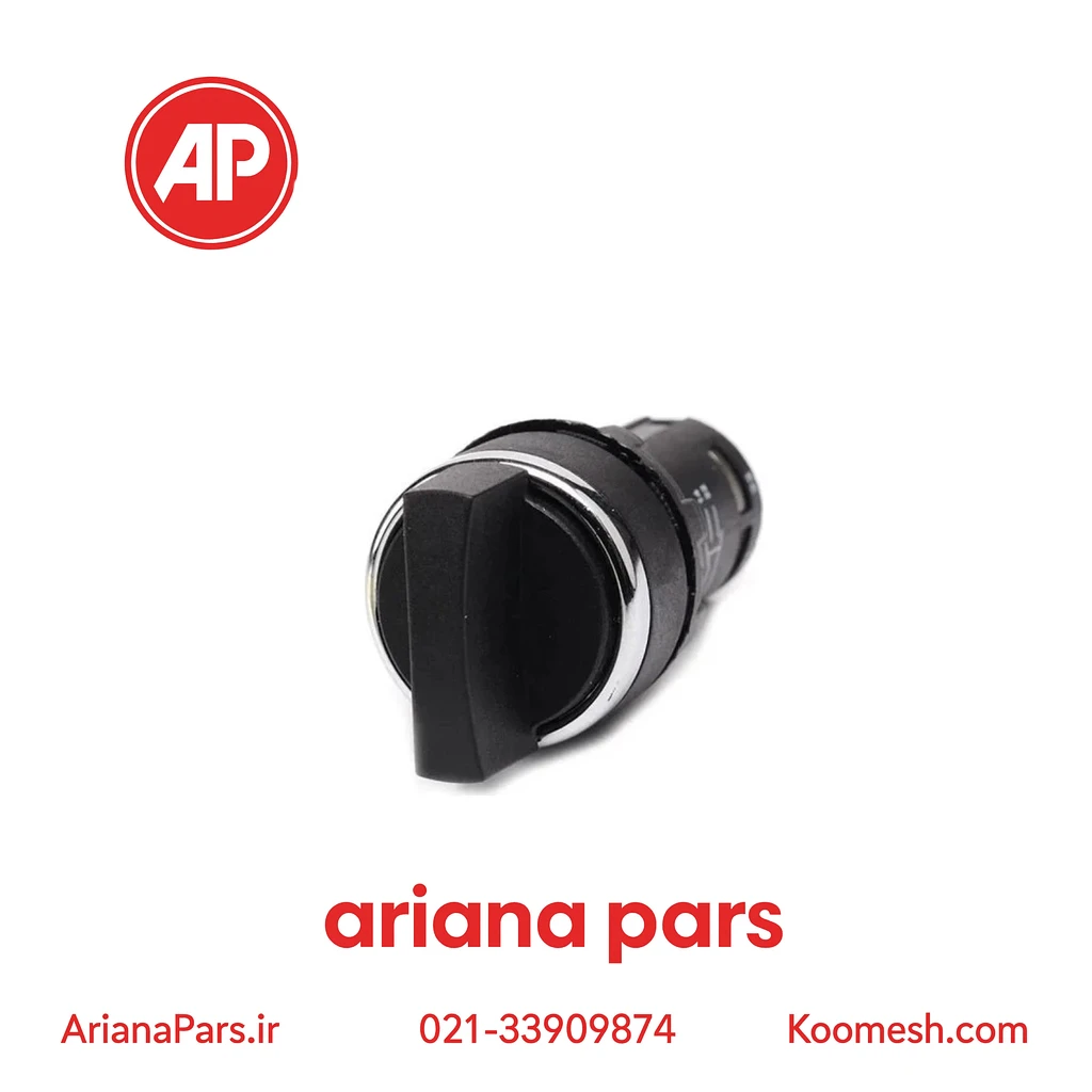 MB101S30 کلید گردان